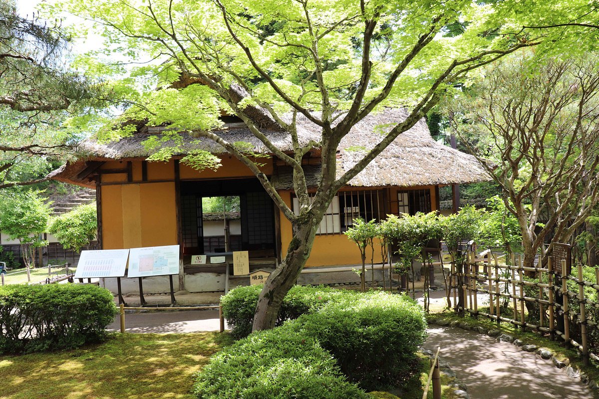 🍵 린카쿠 (차실) 이미지 7